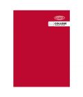 CUADERNO COLLEGE COMPOSICIÓN 100 HOJAS 4 COLORES